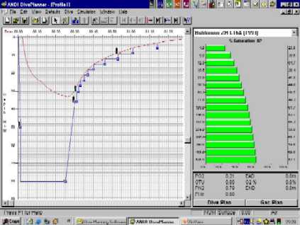 Screen Capture of the ANDI Diveplanner. Click for Hi-res 155KB