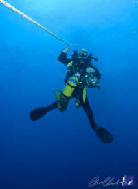 All images above, copyright of Chris Clark www.acemarineimages.com  'used with permission'