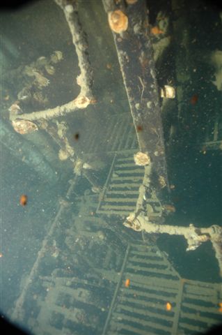 The pristine engine room of the HTMS Pangan. dream on divers...