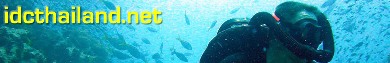 Become a PADI Instructor with our IDC programs on Koh Samui, Thailand.