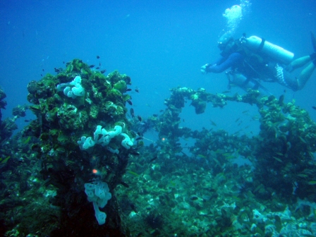 Koh Chang tech diving at Scuba Evolution