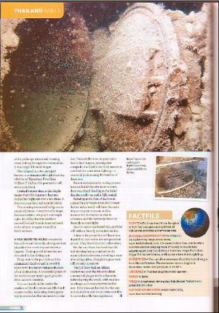 Lagarto Article - Click for pdf file HI RES scan of this page