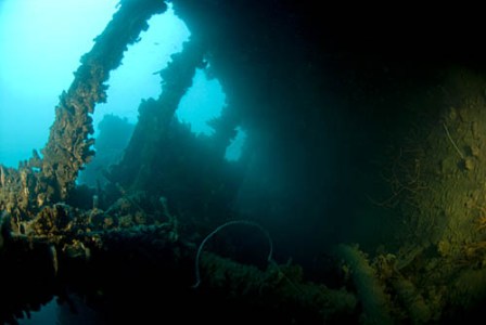 Photo from Ayesha and Wilco at Big Buddah Techical Diving, Koh Tao, Thailand