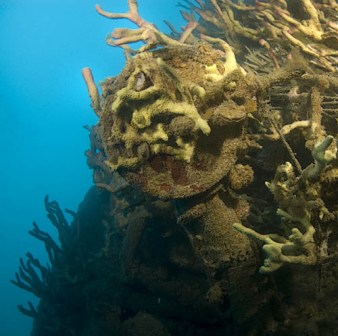 Photo from Ayesha and Wilco at Big Buddah Techical Diving, Koh Tao, Thailand