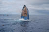 MV Trident tech diving liveaboard boat sinking settling in the water with welded hatch blowing off near Koh Tao Thailand