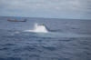 MV Trident tech diving liveaboard boat sinking final moments near Koh Tao Thailand